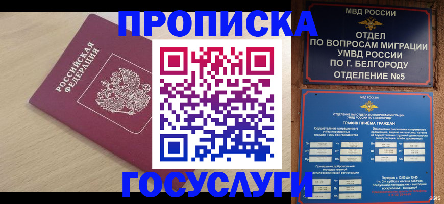 прописка законно в Липецкая области